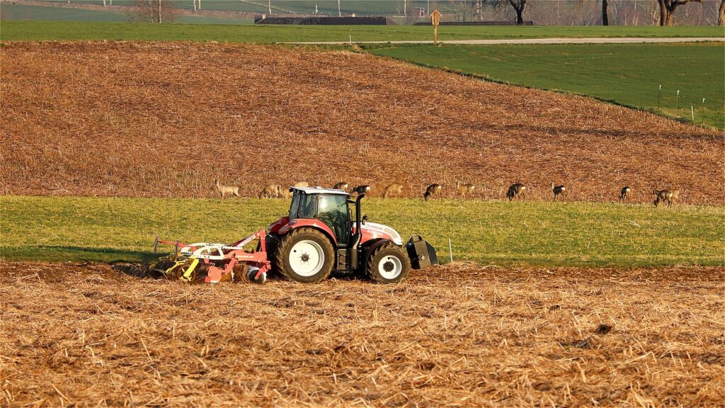 field work, tractor, deer