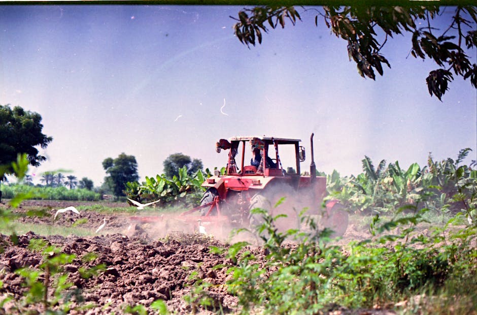 A red tractor plowing a rural field surrounded by trees on a sunny day.