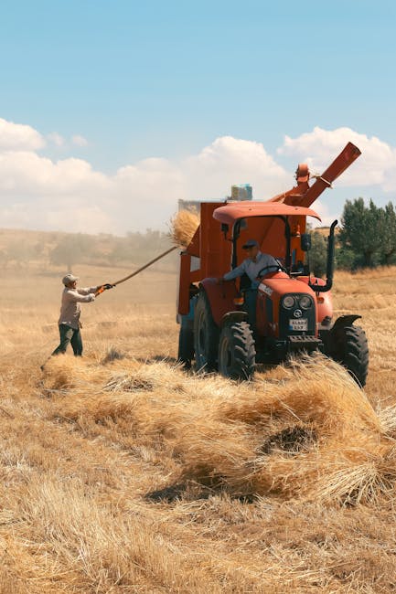Farmers with Tractor in Field